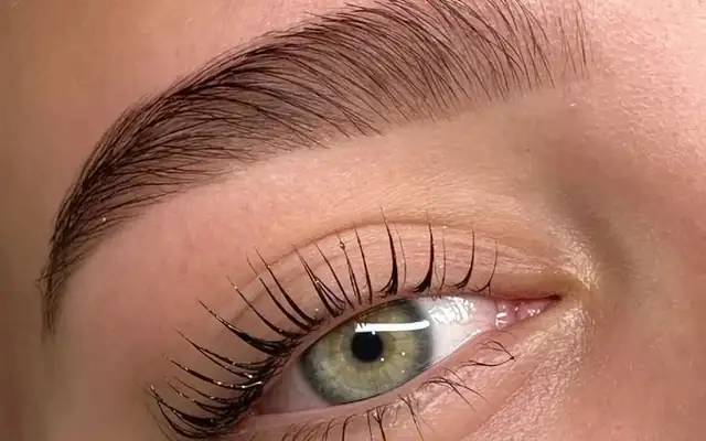 Práctica en Cejas — Academia Jireh